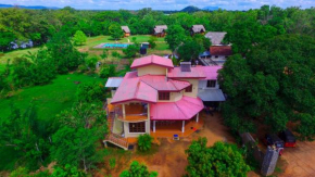 Гостиница Sigiriya Peacock Homestay  Сигирия